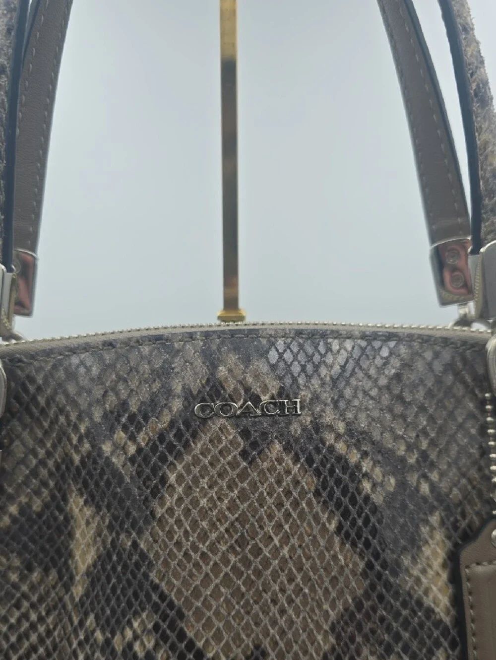 Coach Brown Snake-Print Satchel with Crossbody Strap